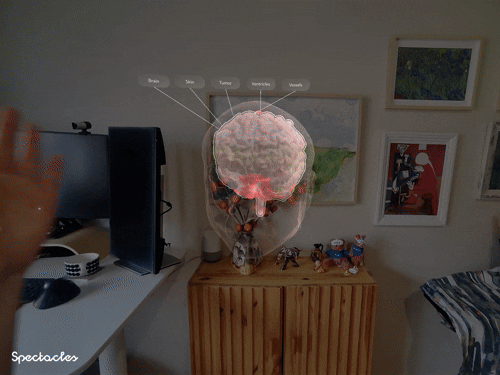 Voice Interaction Demo